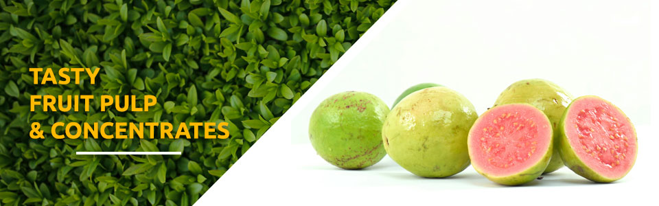 guava pulp exporters in india