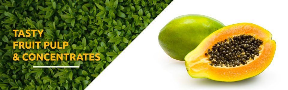 yellow papaya concentrates supplier