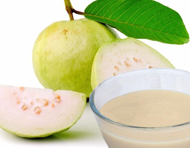 Guava Juice Concentrate Manufacturer